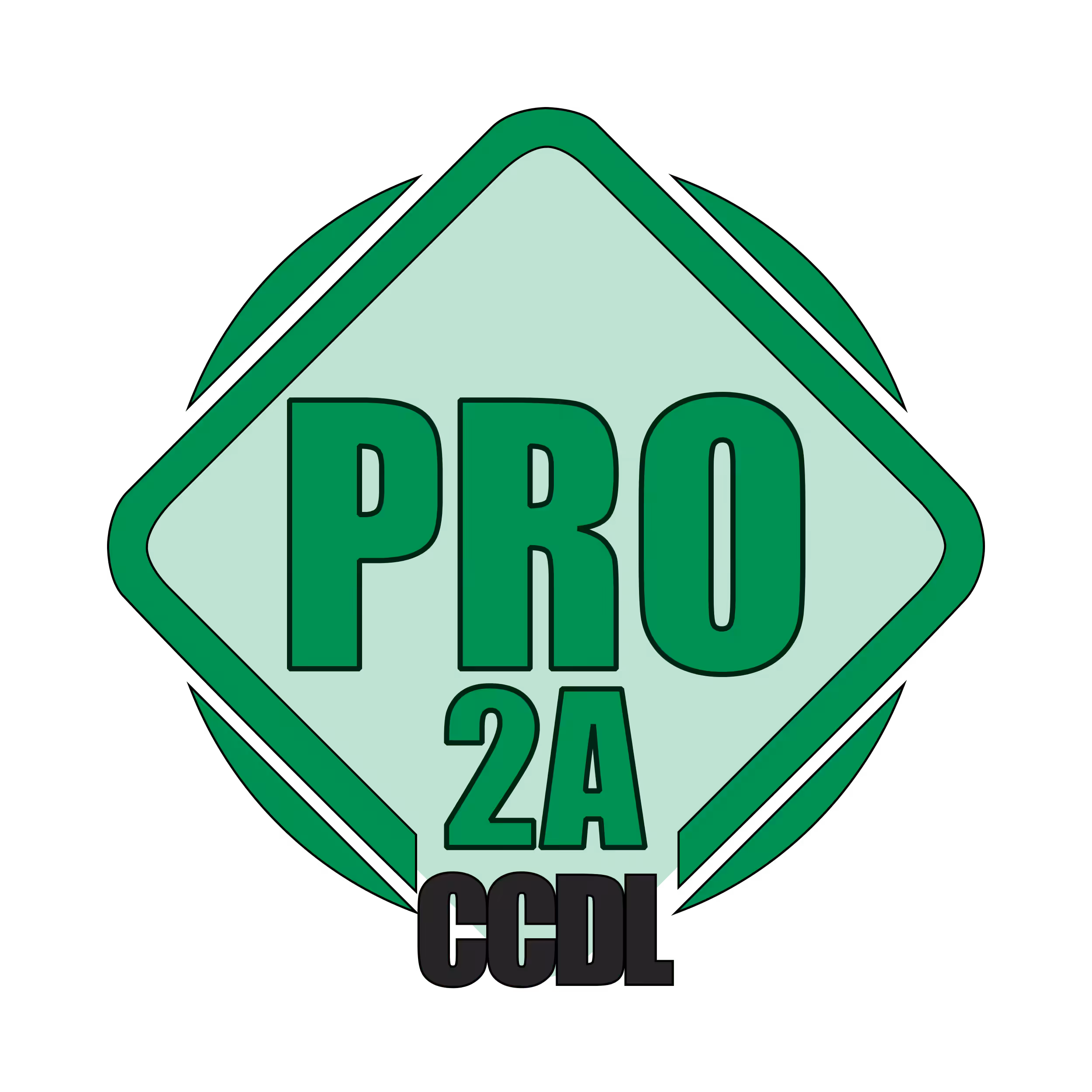 CCDLPro2As4