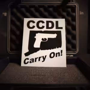 Small Vinyl Cut Decals (2 Pack)