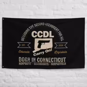 "Born in Connecticut" Retro Flag